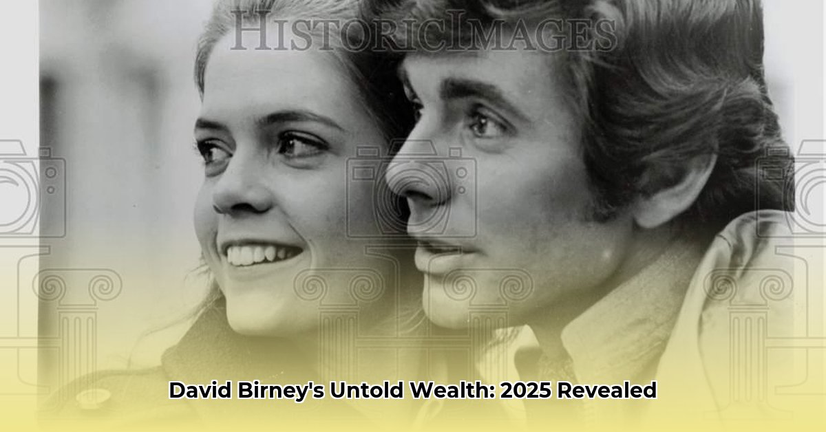 david-birney-net-worth